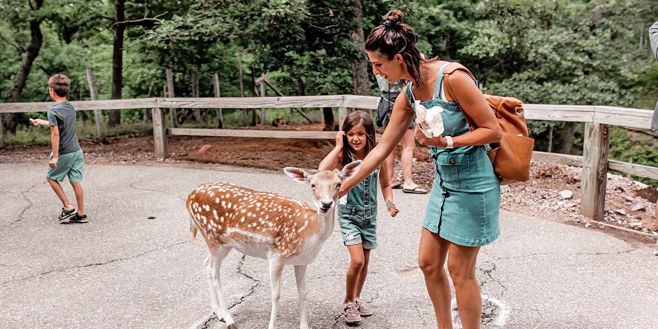 Mother and daughter at wisconsin deer park petting zoo
