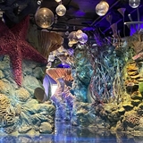 An underwater area at Wizard Quest.