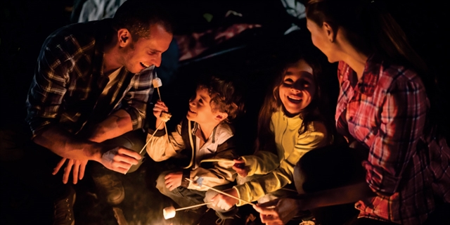 family around a fire roasting marshmallows