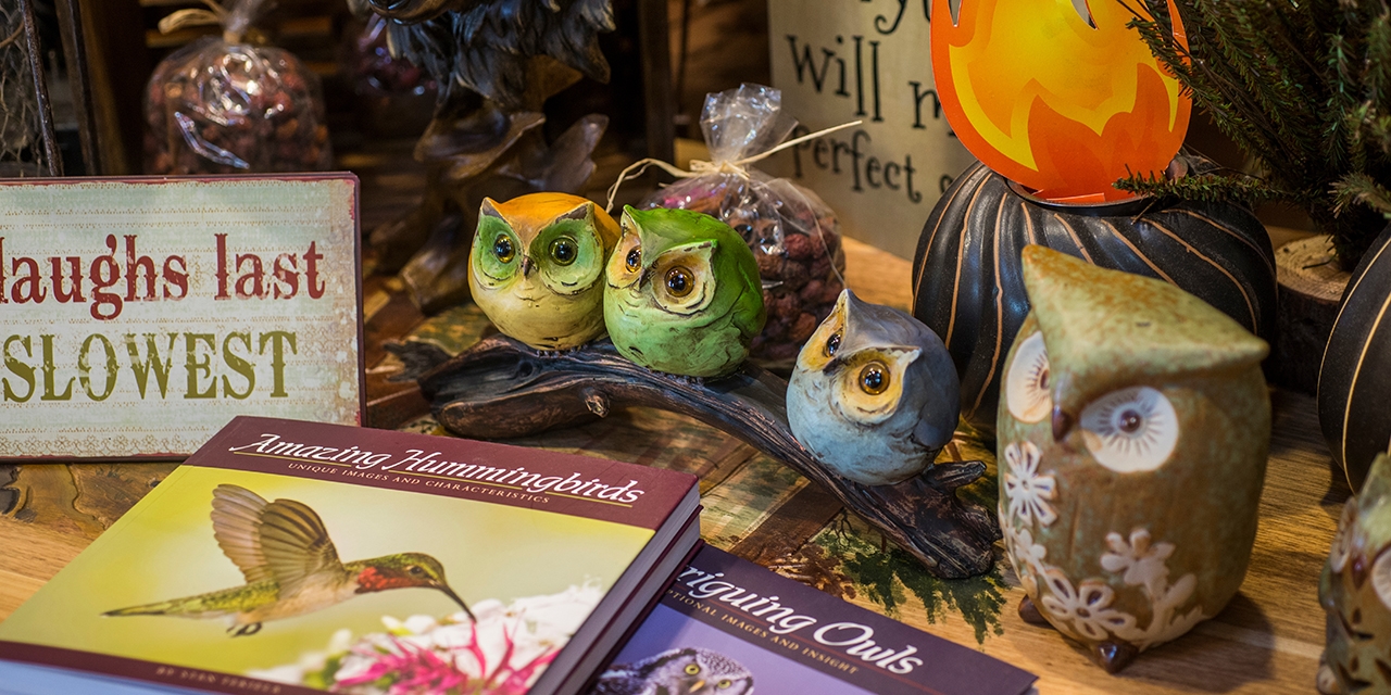 Little owl trinkets and bird books.