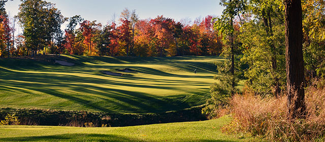 Fall Golf 