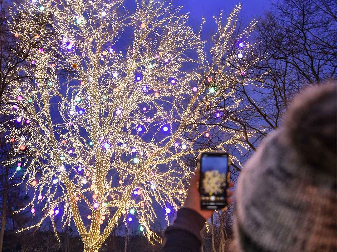 The Tree of Light in downtown Wisconsin Dells.
