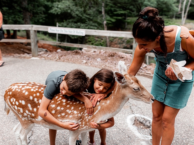 Kids hugging a Deer.