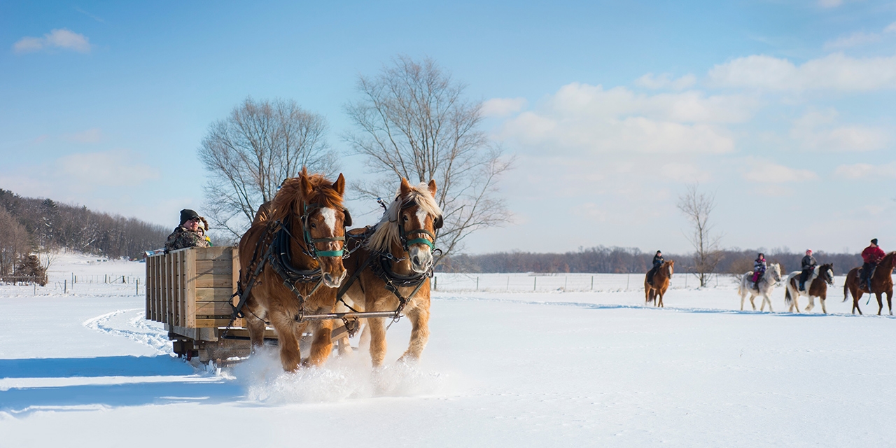 A horse-drawn carriage in winter.
