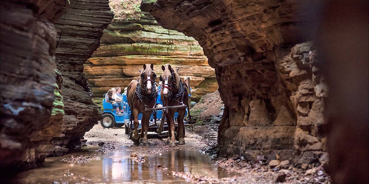 Lost canyon horse wagon tour