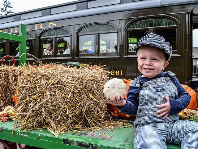 A child with a pumpkin at Mid-Continent Railway Museum.