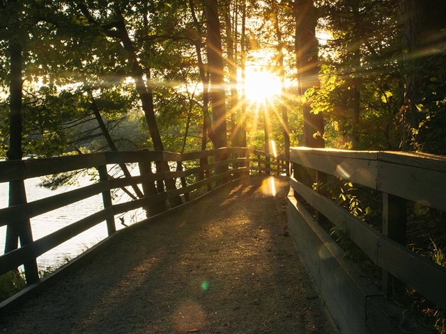 A path at Mirror Lake State Park.