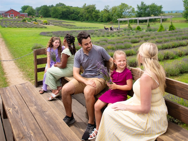 Taking a Wagon Ride at New Life Lavender Farm