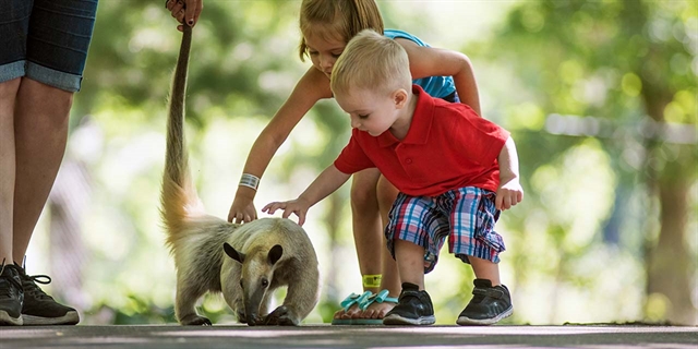 Timbavati Zoo with kids