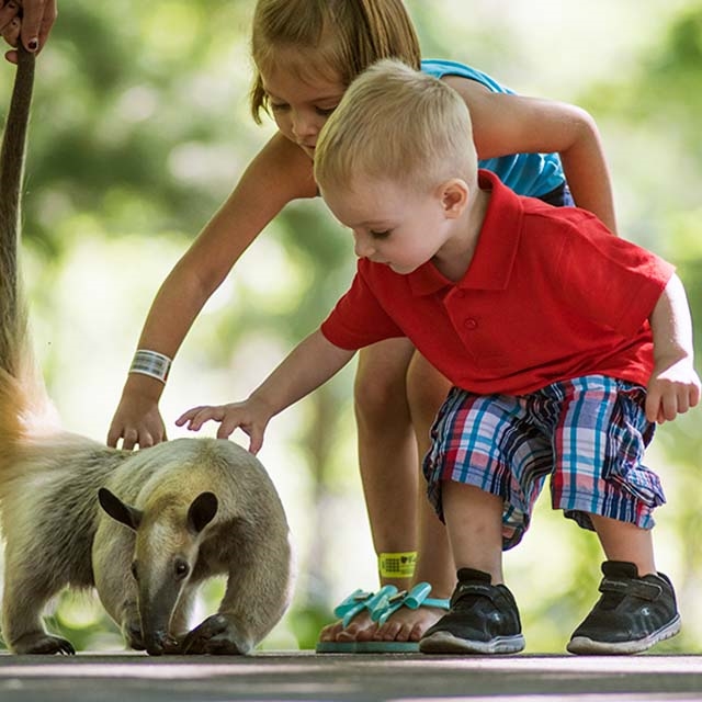 Kids petting an animal at Timbavati Wildlife Park in Wisconsin Dells.