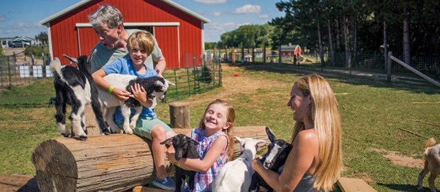 Family of four petting goats at Country Bumpkin Farm
