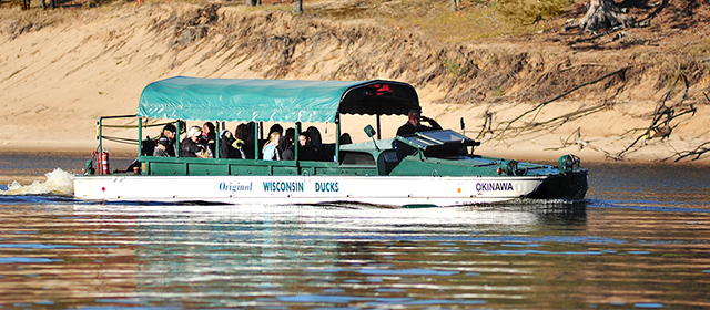 Wisconsin Original Ducks on the river