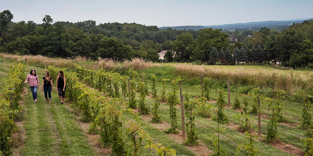 Wimen at Baraboo Bluff Winery Wineryard