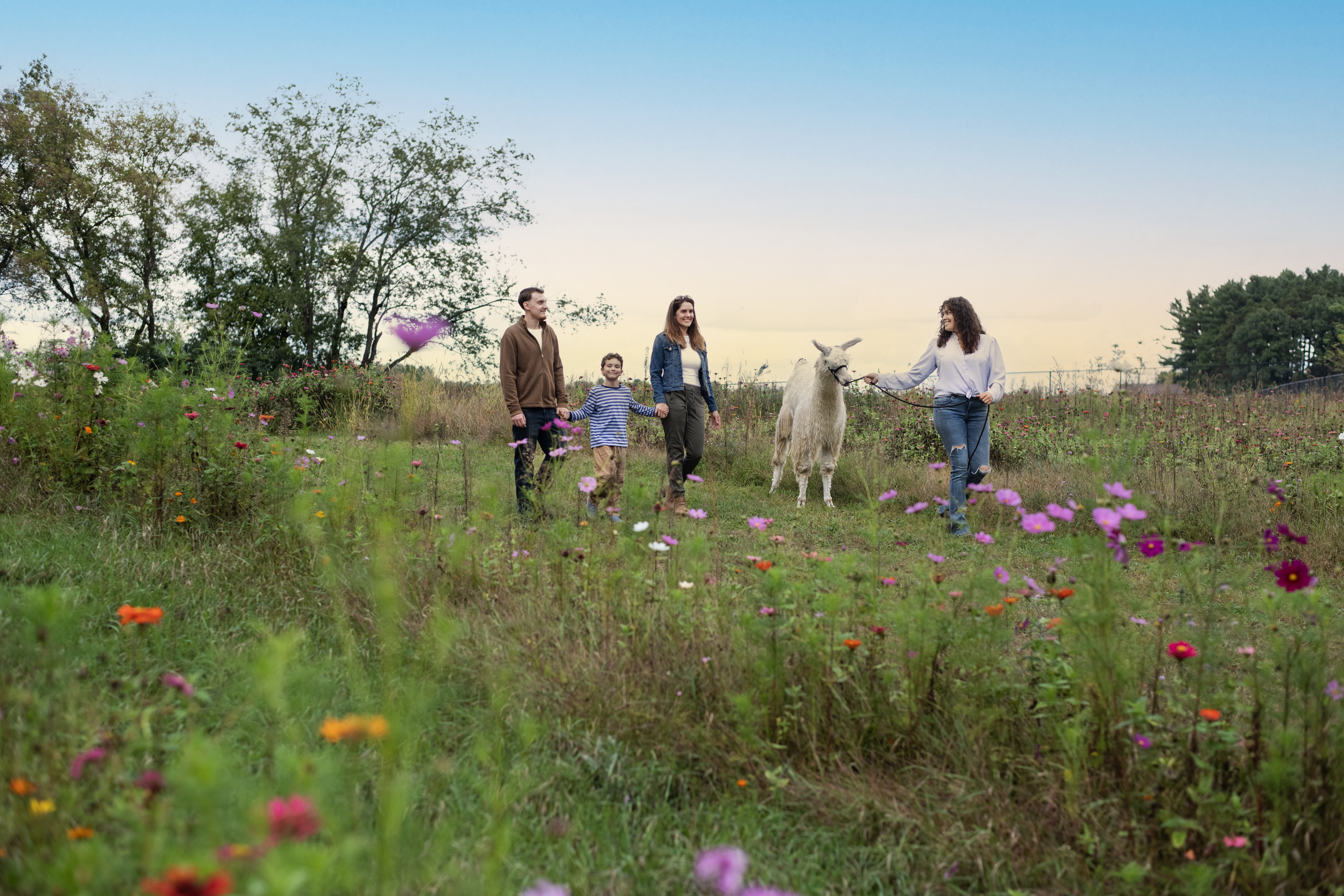 Casacampo Alpaca Ranch