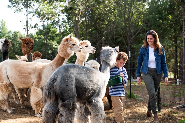 Casacampo Alpaca Ranch