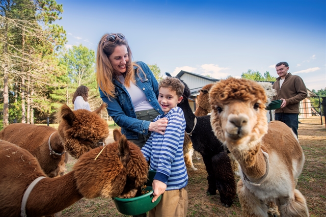 Casacampo Alpaca Ranch