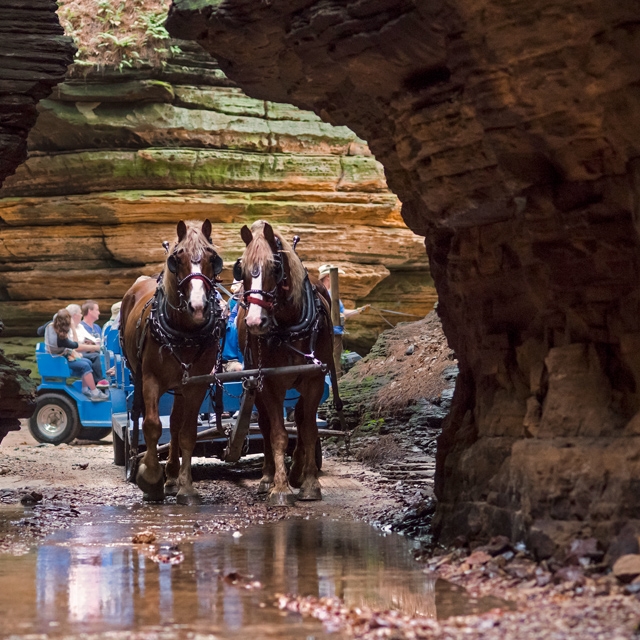 Horse wagon at Lost Canyon Tours.