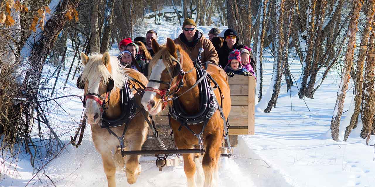 A family on a winter tour from Red Ridge Ranch Riding Stables in Wisconsin Dells.