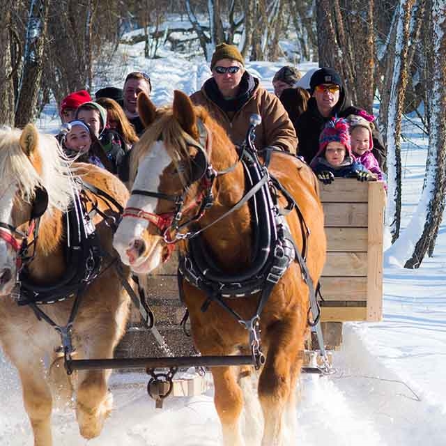 A family on a winter tour from Red Ridge Ranch Riding Stables in Wisconsin Dells.