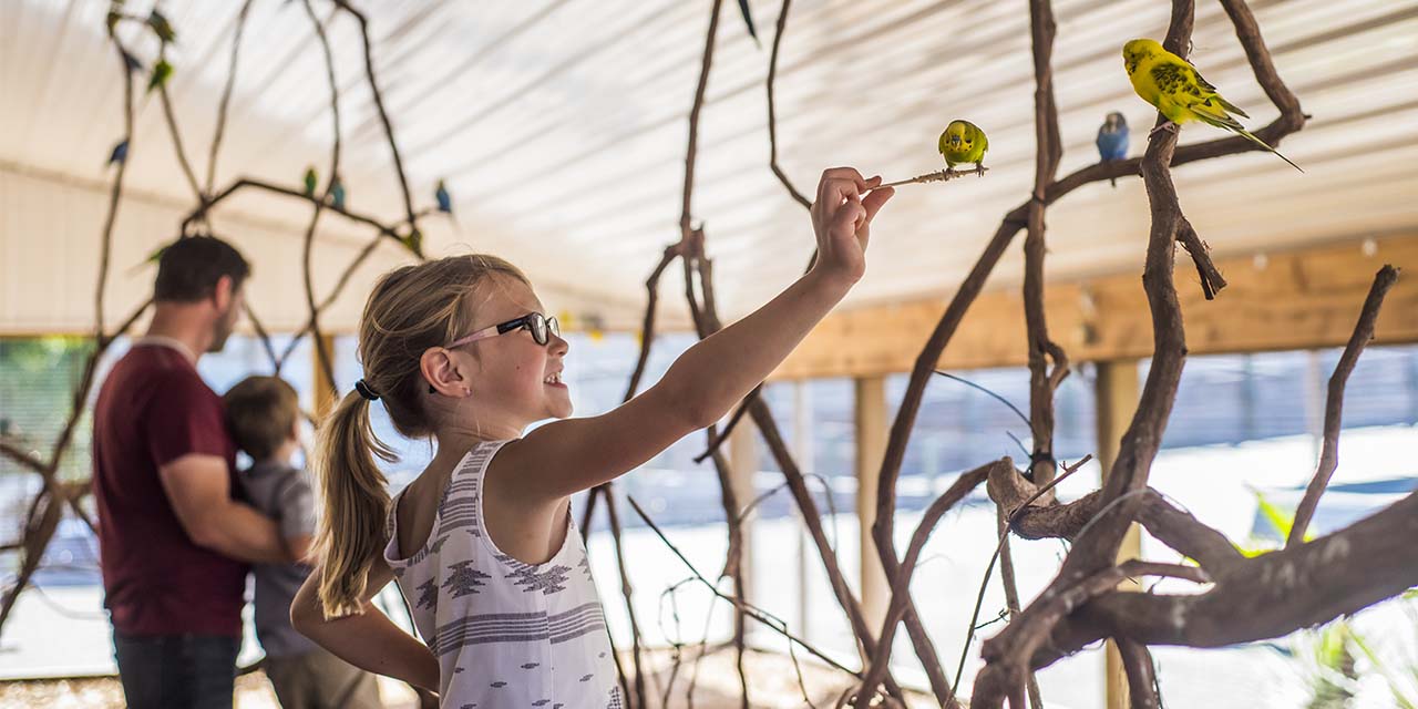 A girl feeding a bird at Timbavati Wildlife Park in Wisconsin Dells.