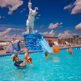 Family swimming at Shamrock Motel's outdoor pool.