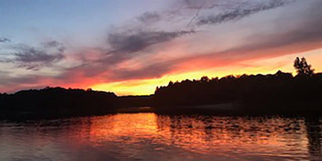 Exterior of Cedar Lodge cabins.