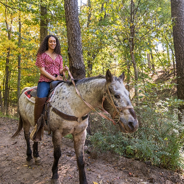 A woman on a horse at Canyon Creek Riding Stables.