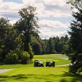 Golf carts along the path amid the luscious green foliage.