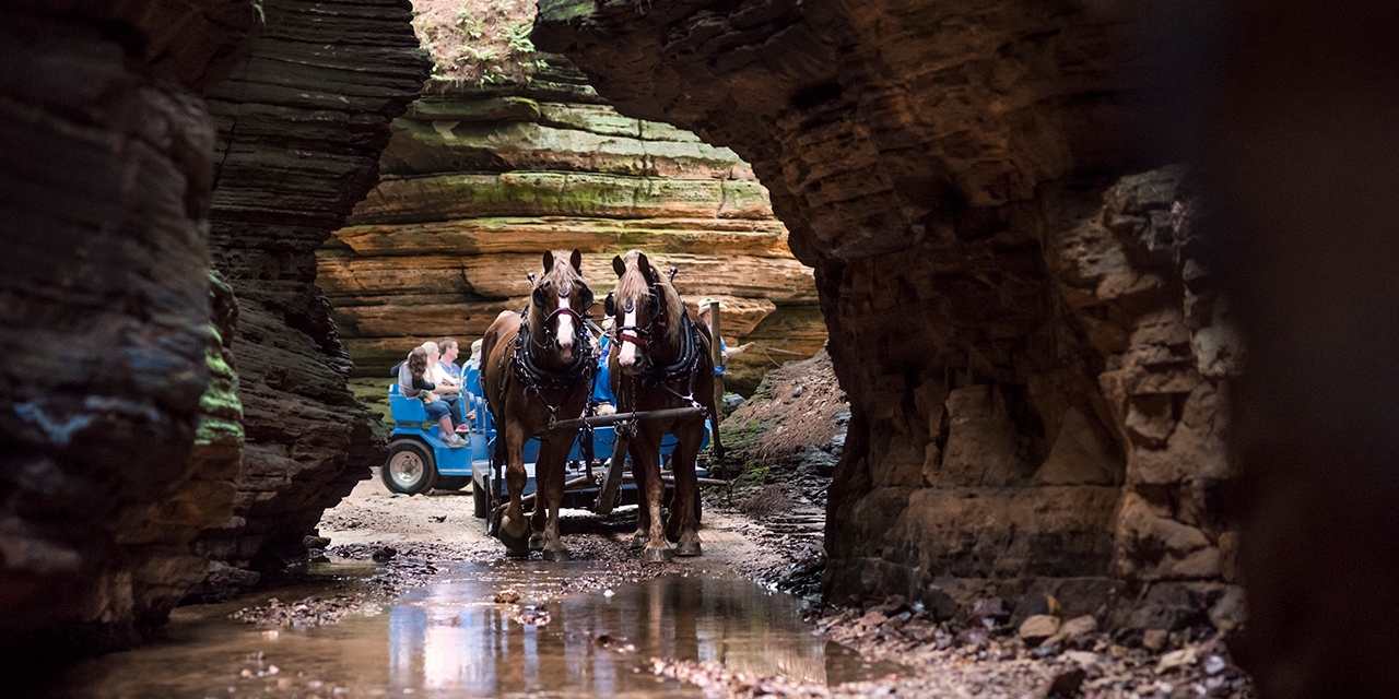 Visitors ride through Wisconsin Dells on horse-drawn carriages.