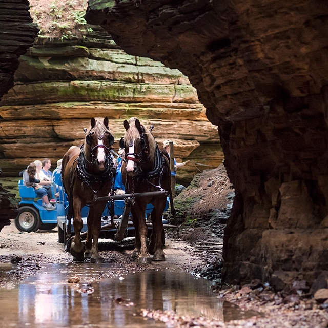 A group on a horse-drawn carriage tour at Lost Canyon Tours in Wisconsin Dells.