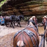 Visitors gaze at the Wisconsin Dells rock formations from their horse-drawn carriage.