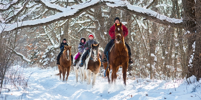People riding horses during the winter.