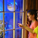 Kids look at the oddities in Ripley&apos;s Believe It Or Not!