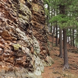 Rock formations and wooded forest at Roche-A-Cri State Park.