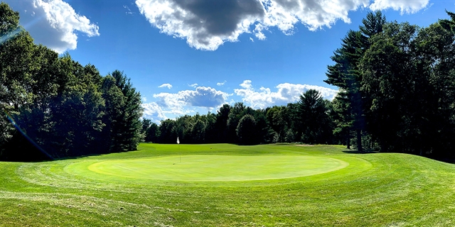 Golf green surrounded by wooded area at Spring Brook Golf Course.