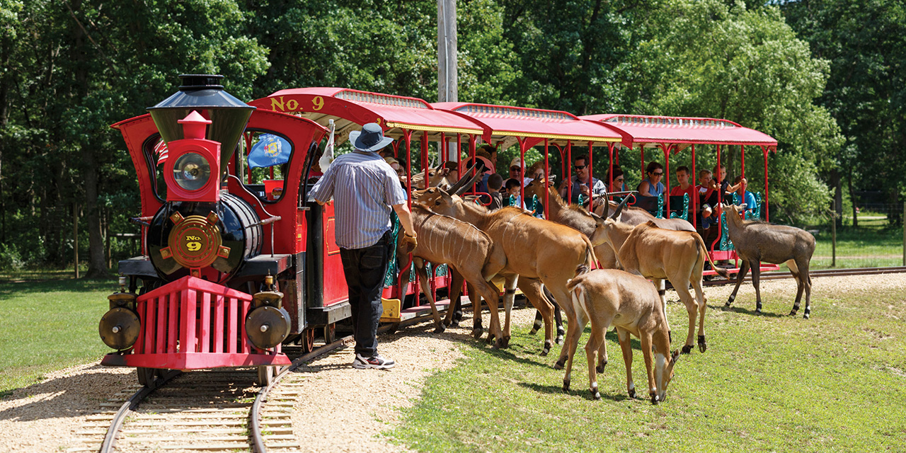 safari train ride wisconsin dells