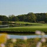 The golf course landscape.