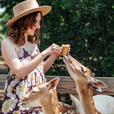A woman feeds deer.