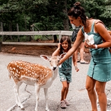 A family pets a deer.