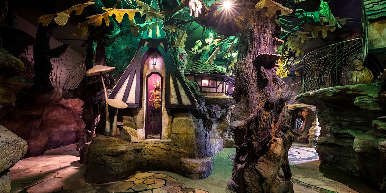 The forest area at Wizard Quest.