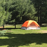 Tent camping area with woods and picnic table.