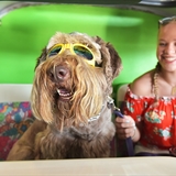 A woman and dog sit in a converted van at Grateful Shed.