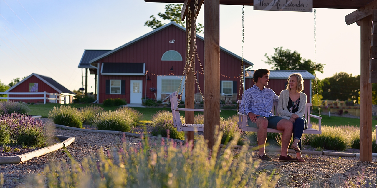 A couple sits in a swing seat at New Life Lavender & Cherry Farm.